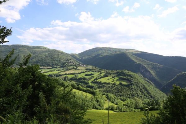 Il mondo del Prosciutto di Norcia IGP